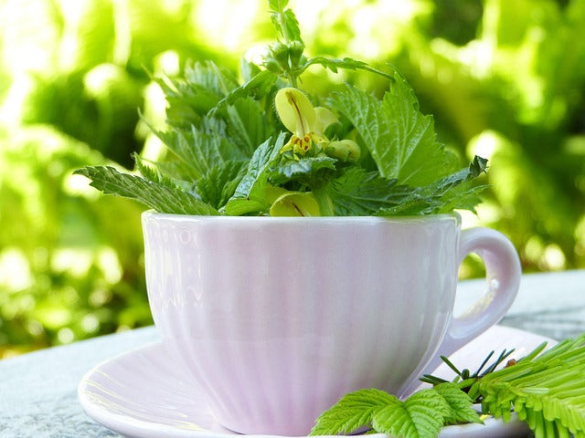 Immune System Health